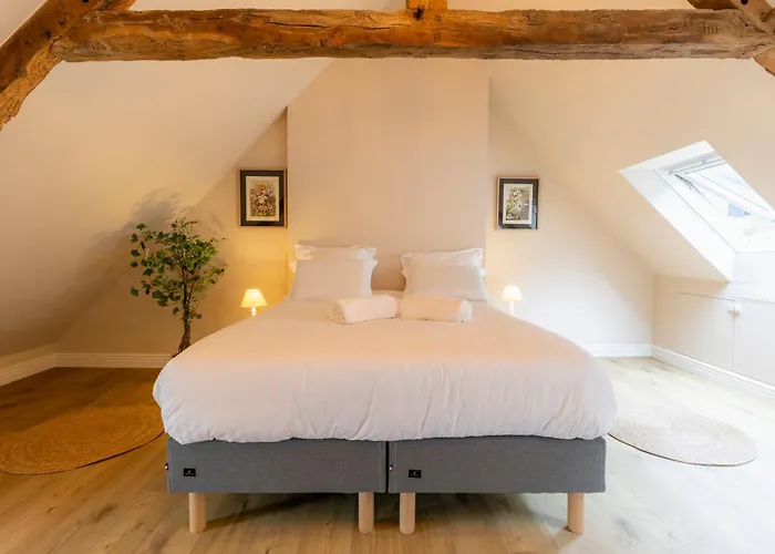Maison De Pecheur A Cancale, Jardin Et Sauna - Le Jardin Suspendu